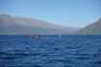 Lake Whakatipu Buoy Being Deployed In November 2022 D