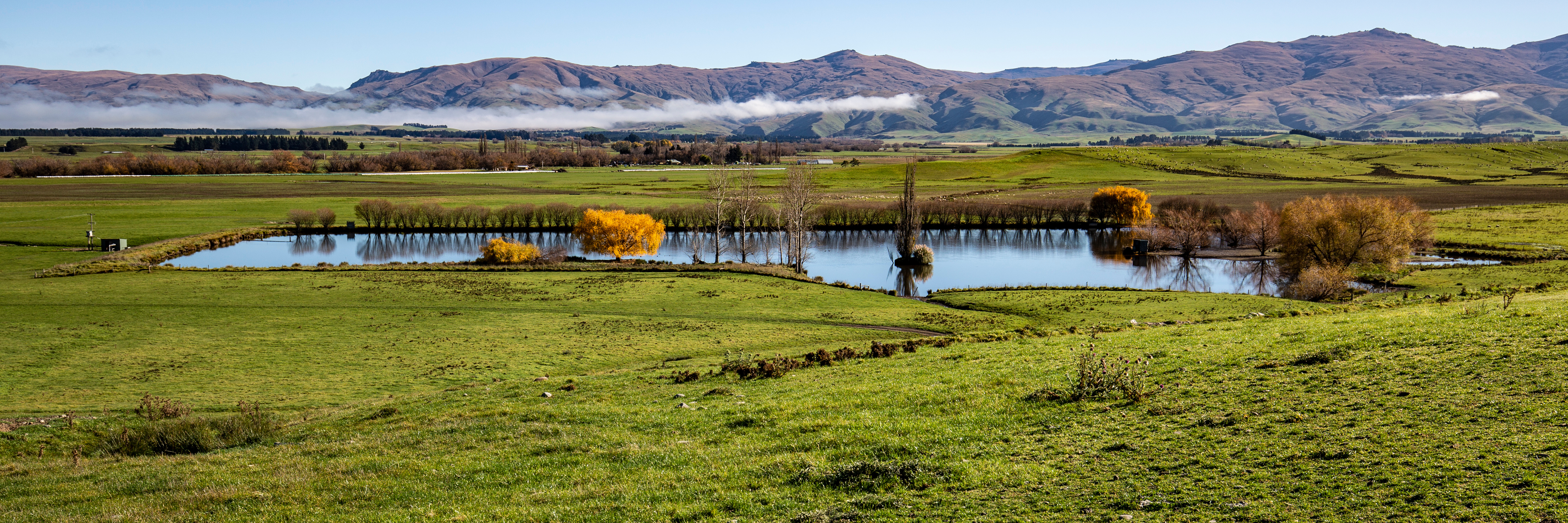 Central Otago Farm pond Adobestock 237368087