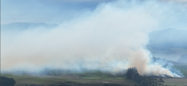 Burning Shelterbelt Clearances