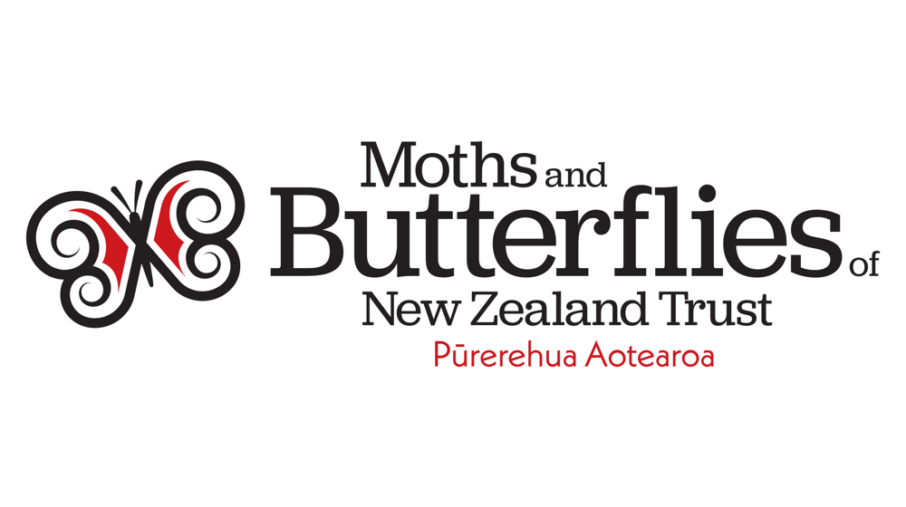 Moths And Butterflies Of New Zealand Trust Pūrerehua Trust Logo 1920X1080