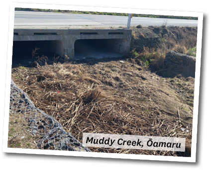 Muddy creek Oamaru