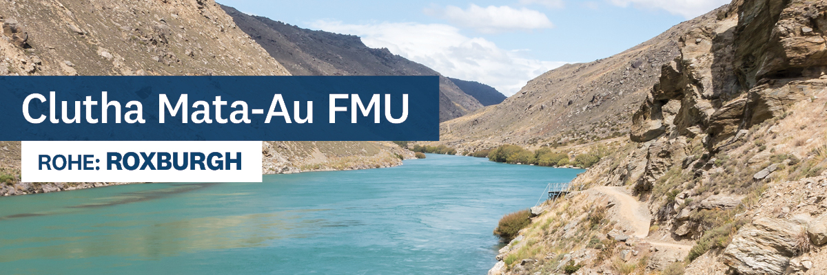 ORC Land and Water Regional Plan - Roxburgh FMU