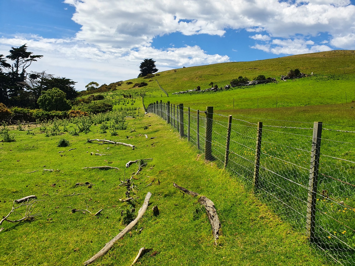 Rabbit fencing