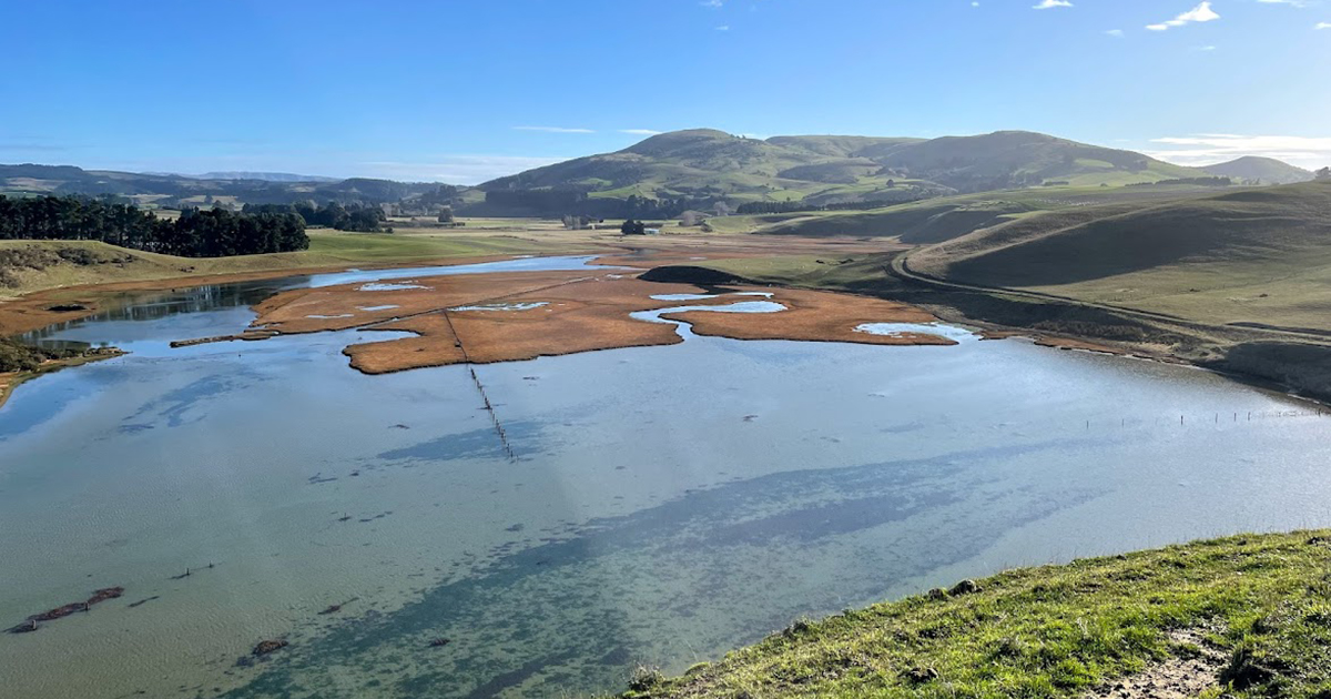 Te Hakapupu / Pleasant River Catchment