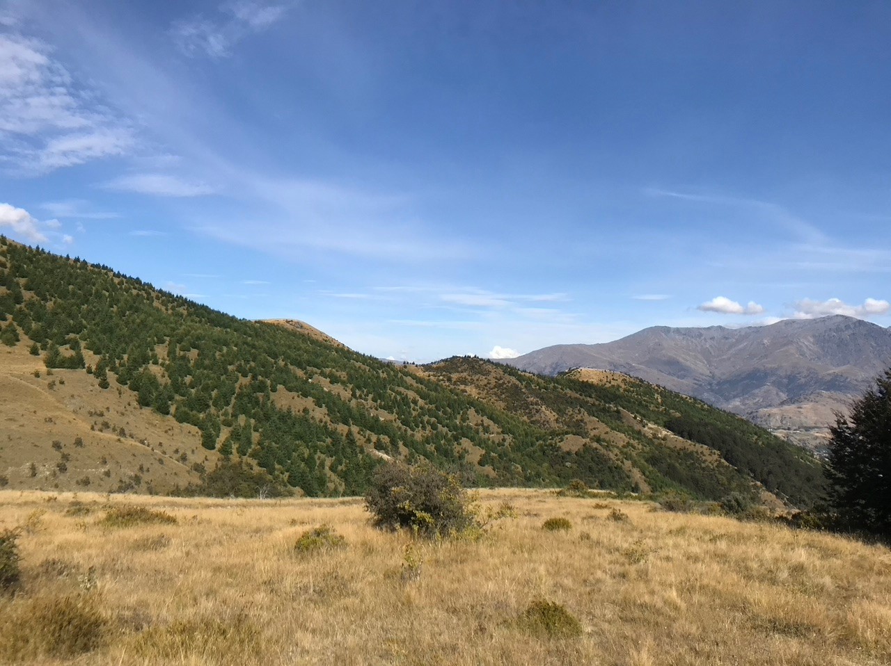 Arrowtown hillside