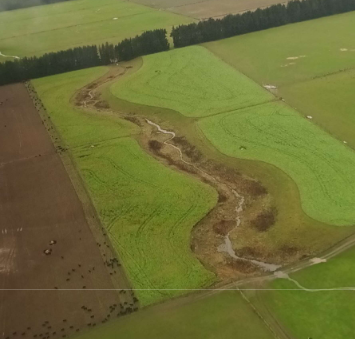 Another vegetated buffer