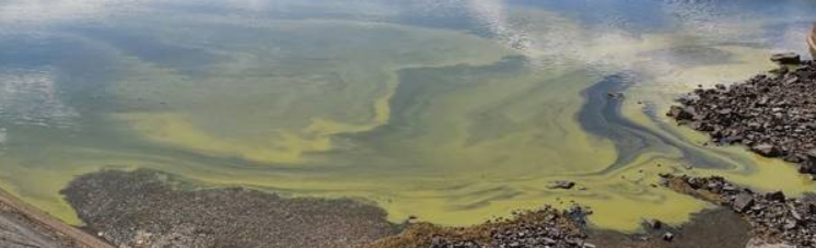 Butchers Dam Aerial View