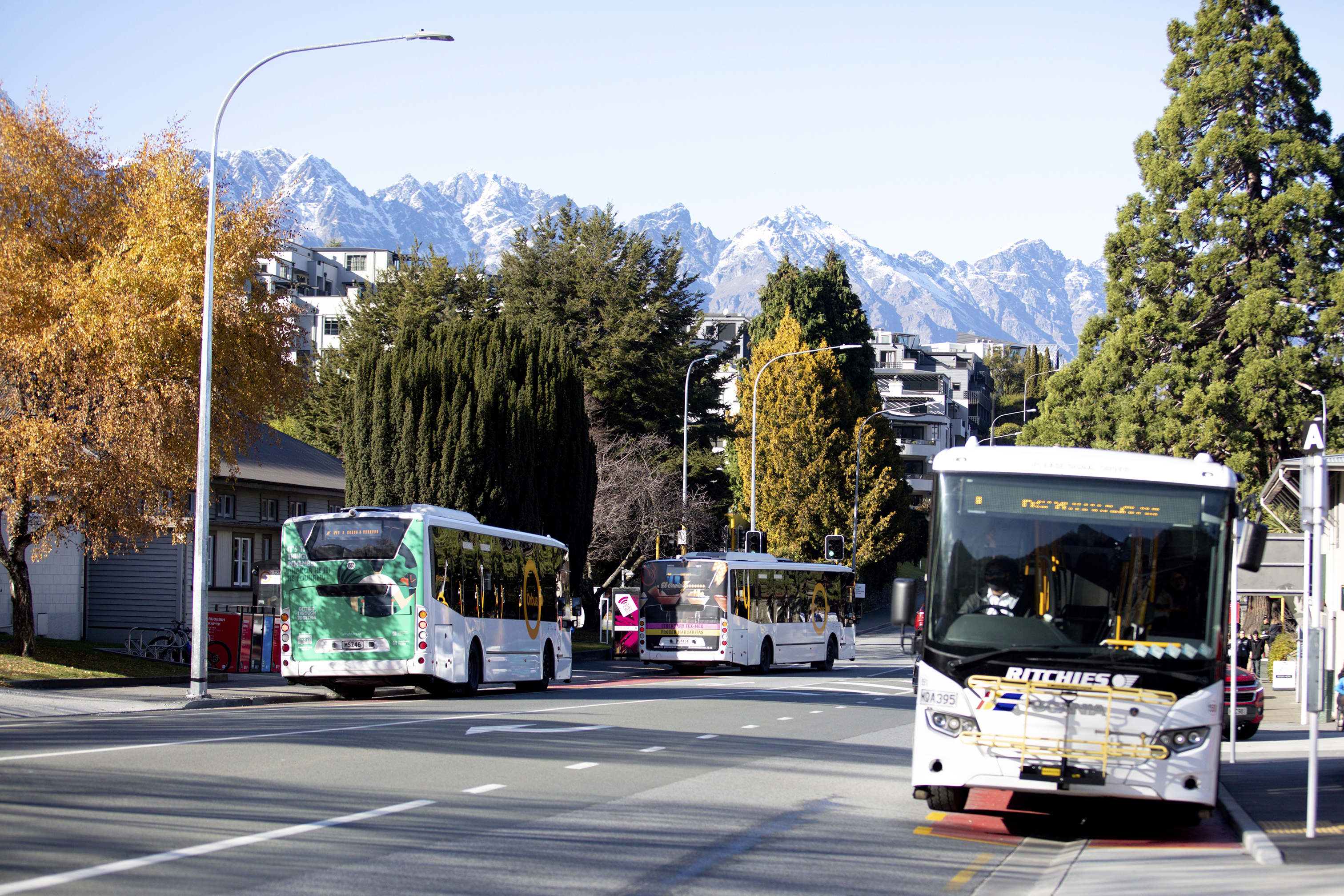 Queenstown Orbus Service