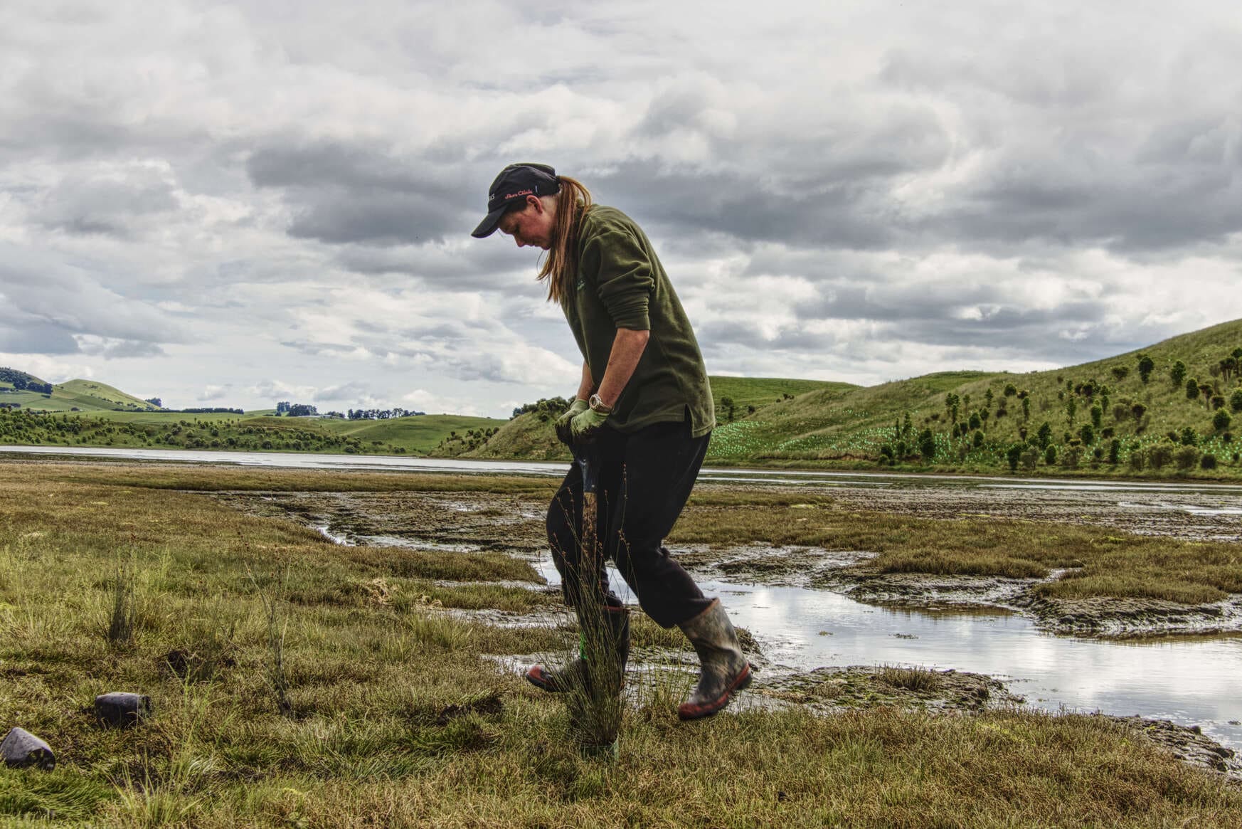 Oioi planting day at the South Arm of Te Hakapupu estuary