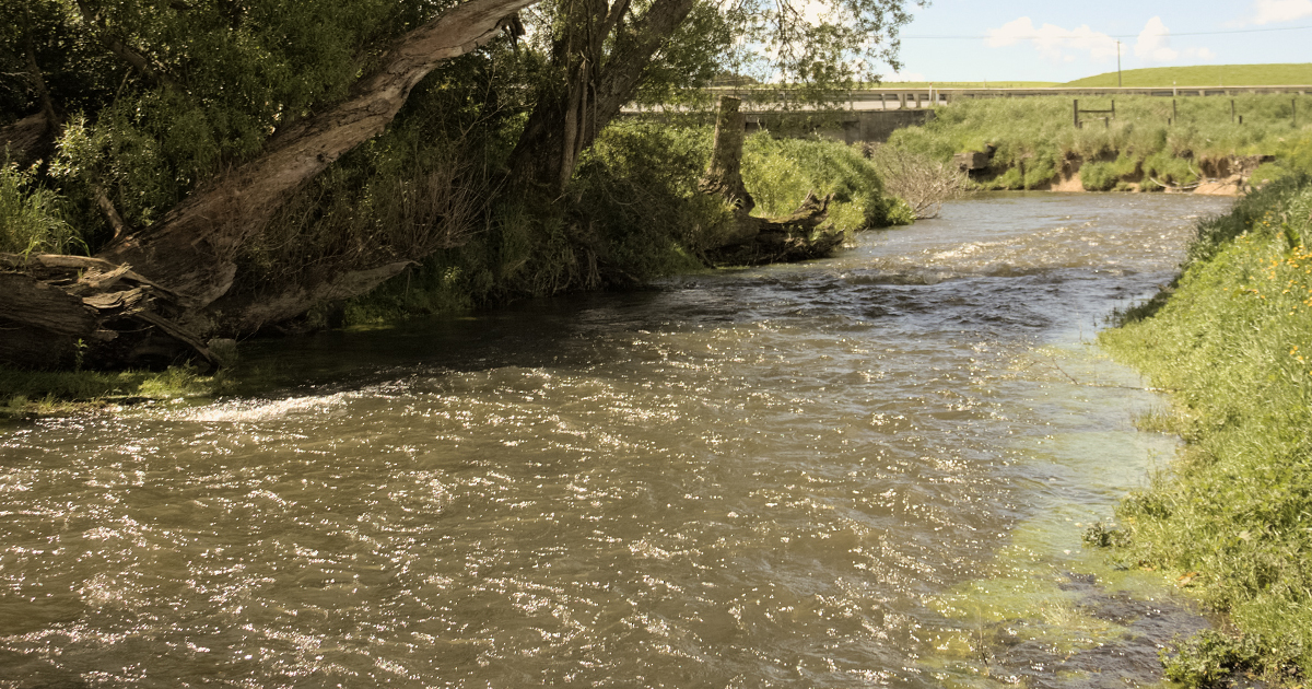 Low water levels Waiwera river Clinton