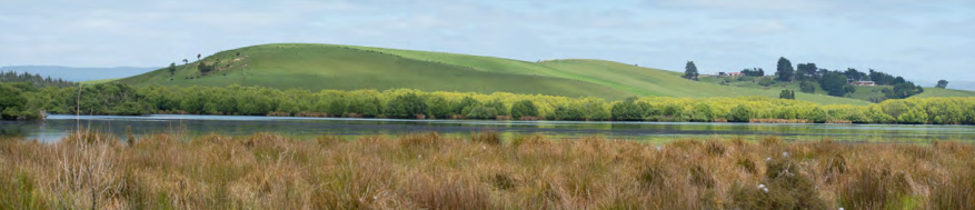 Otago rural scene