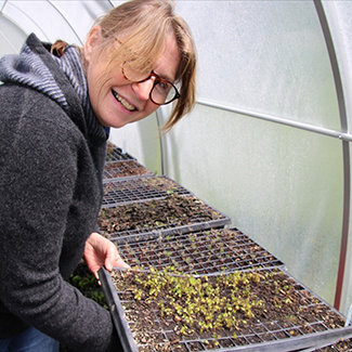 Kate Wilson and seedlings