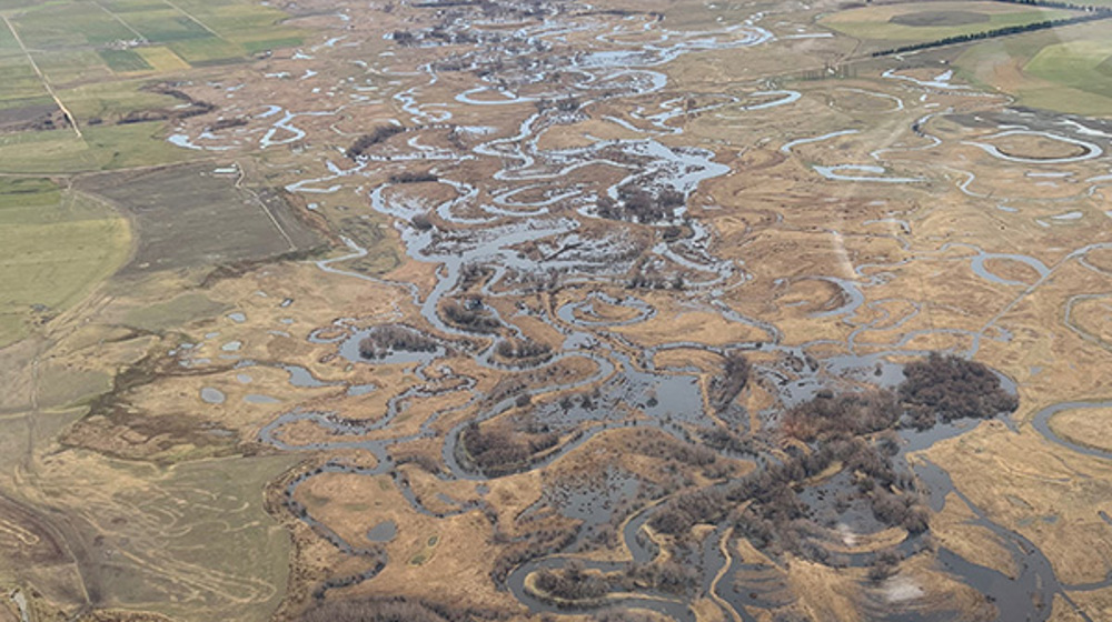 Taieri Scroll Plains