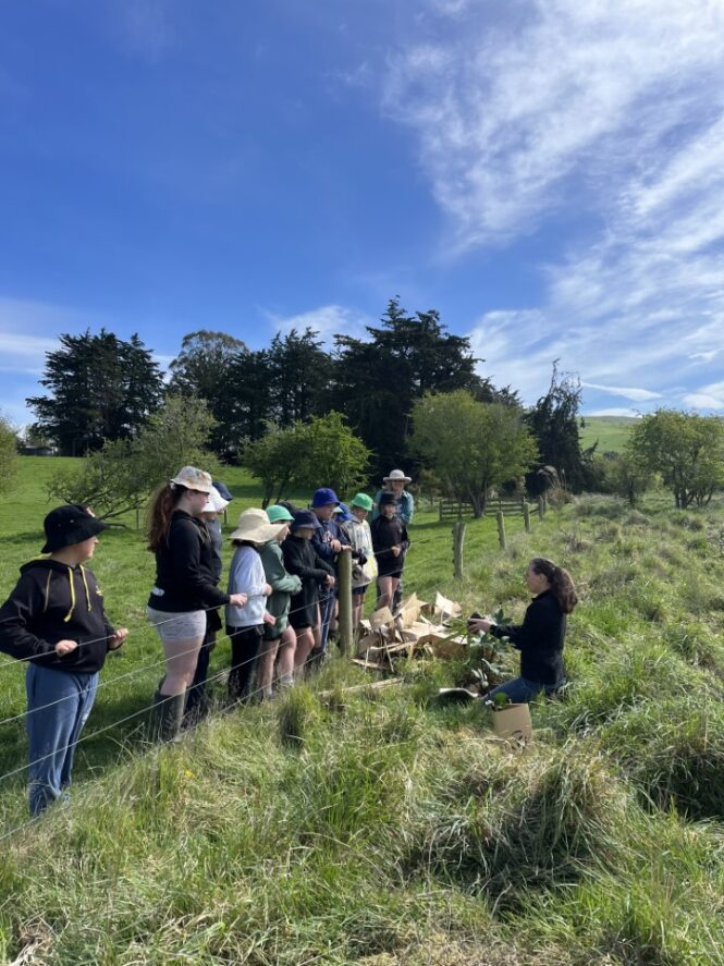 Toitū Te Hakapupu planting