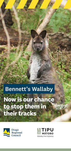cover for the bennett's wallaby pest brochure
