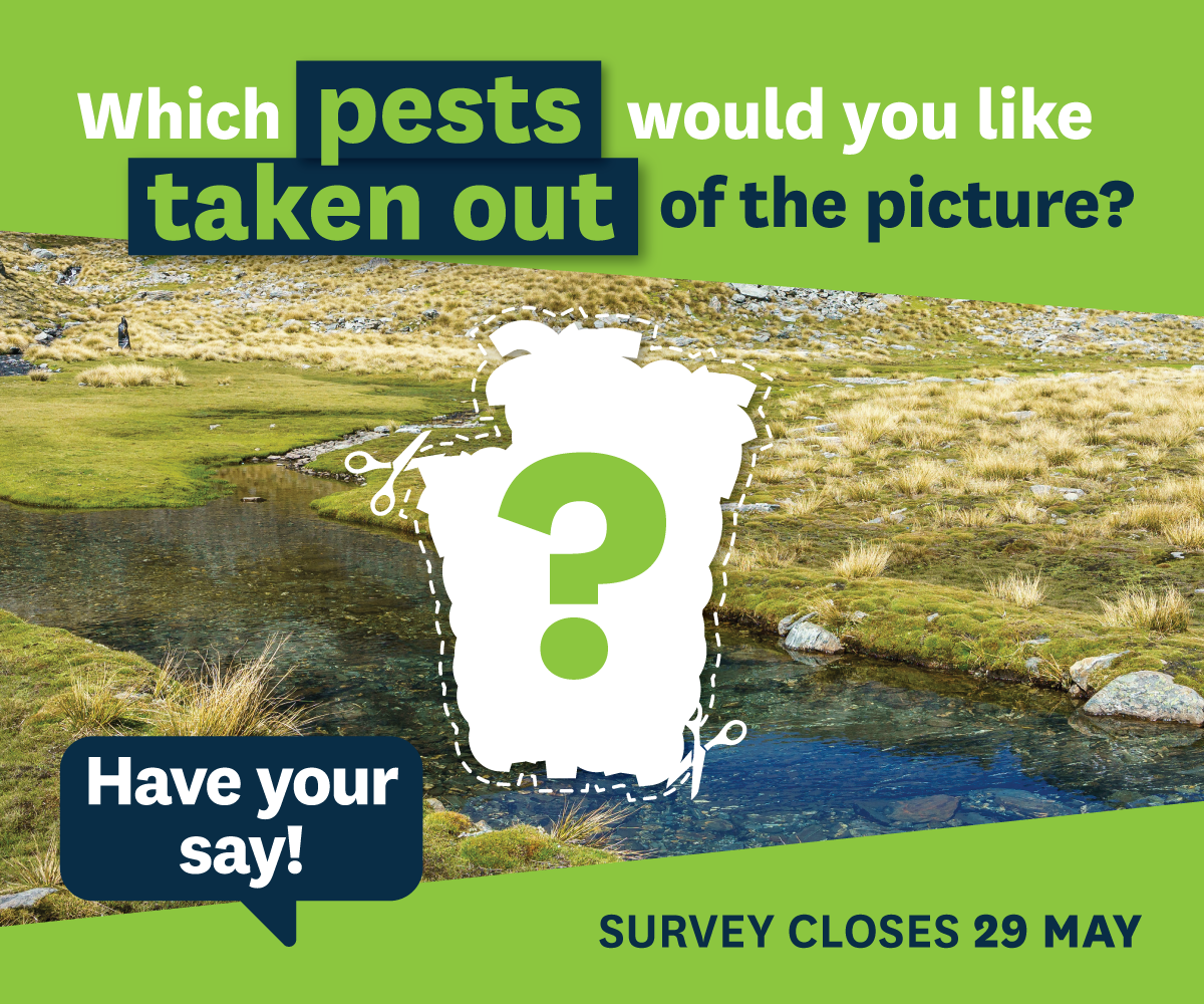 an image of a stream running through a grassy area with the words which pest would you like taken out the picture? on it?