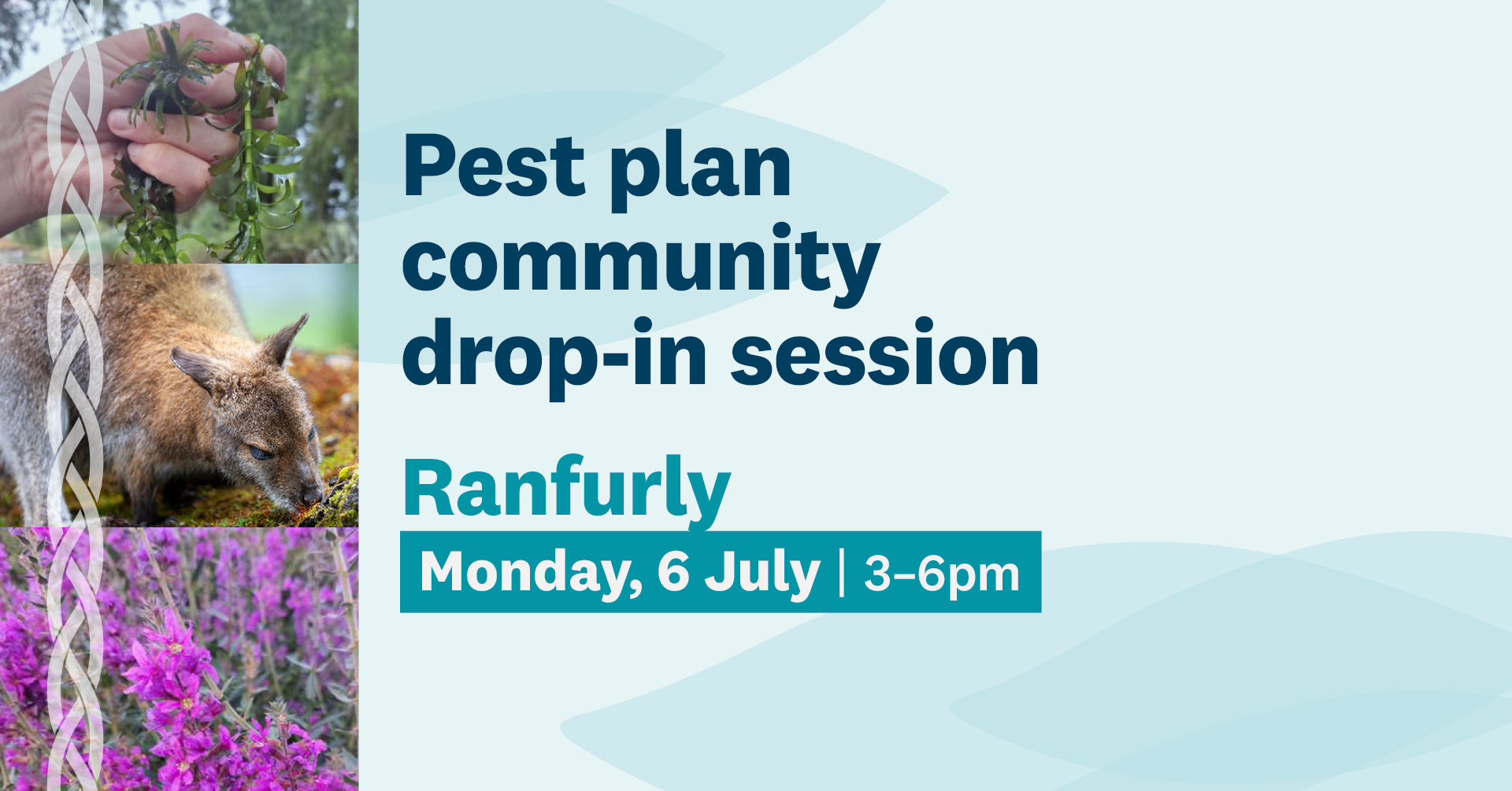 RPMP Ranfurly Drop In Session Facebook Event Cover PROOF 260529 Tint