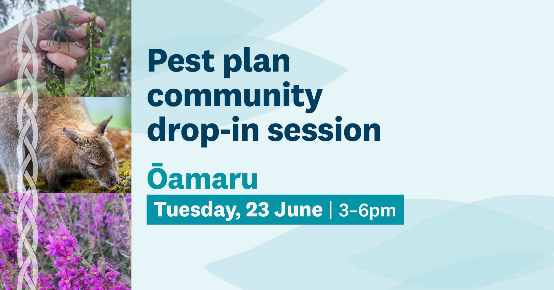 RPMP Ōamaru Drop In Session Facebook Event Cover PROOF 260529 Tint