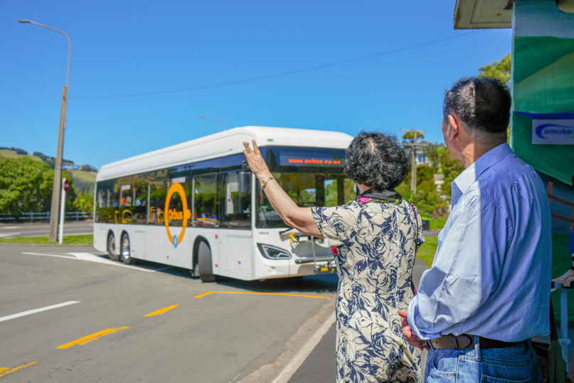 Older Couple Flagging Down Bus