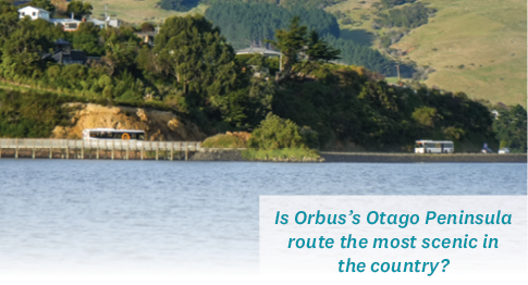 Is Orbus’s Otago Peninsula route the most scenic in the country - image of orbus on the otago peninsula road