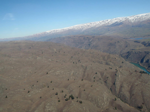 Hills southeast of Alexandra