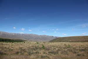 Upper Manuherikia and Hawkduns