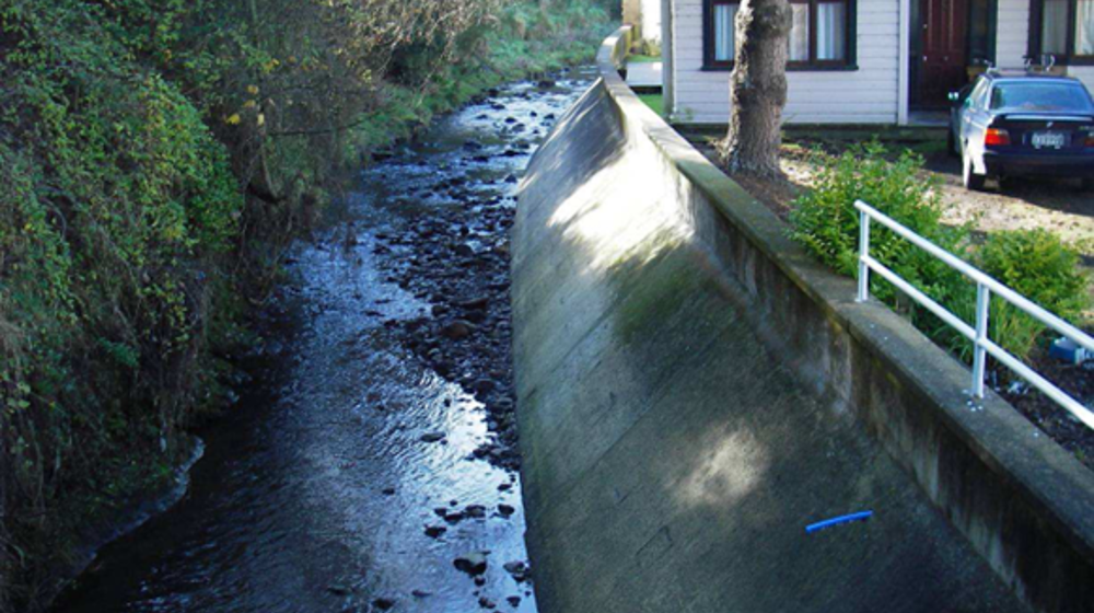 A Section Of The Lindsay Creek Channel In North East Valley Looking Upstream