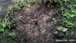 Mamoea Rufa Photo 428865552, (C) Dunsc598, Some Rights Reserved (CC BY NC) Inaturalist