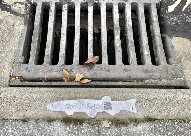 a drain in a gutter with a metal fish mounted on the concrete beside it with the words only rain and a QR code on it