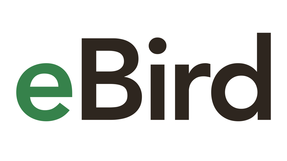Ebird Logo 1920X1080
