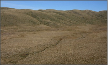 Boundary Creek Fen (2008)