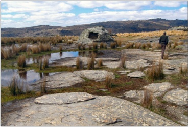 One of a number of depressions supporting ephemeral wetland herbs, Flat Top Hill Ephemeral Wetlands (Undated)