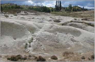 Chapman Road Inland Saline Wetland (December 2010)