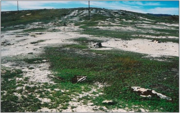 Galloway No.2 Inland Saline Wetland Management Area (August 2005)