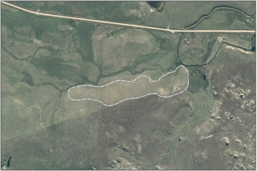 Aerial View of Moa Creek Inland Saline Wetland (March 2005)