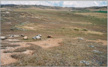 Moa Creek Inland Saline Wetland (March 2006)