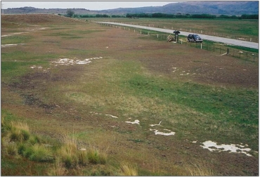 Patearoa Inland Saline Wetland (February 2003)