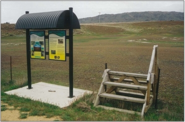 Patearoa Inland Saline Wetland (February 2003)