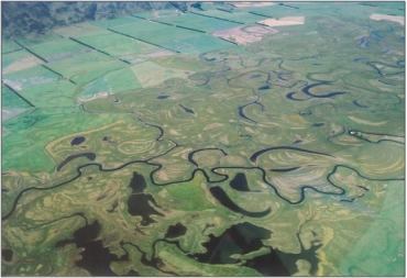 Upper Taieri Wetlands Complex at Styx (January 2005)