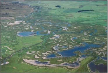 Upper Taieri Wetlands Complex at Styx (January 2005)