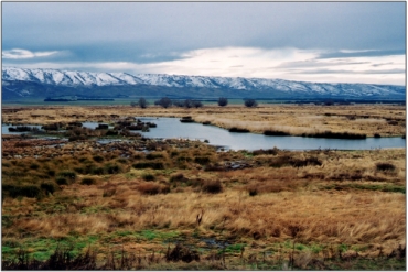 Upper Taieri Wetlands Complex (2003)