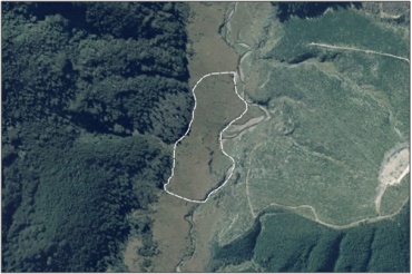 Aerial View of Blackcleugh Burn Swamp (March 2006)