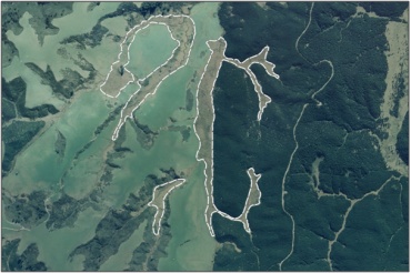 Aerial View of Frasers Stream Headwaters Marsh Complex (March 2006)