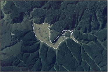 Aerial View of Glendhu Swamp (March 2006)