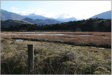 Glendhu Swamp (2011)