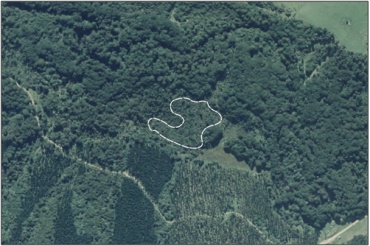 Aerial View of Harrington Mill Road Swamp (March 2006)