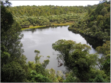 Lake Wilkie Swamp (December 2005)