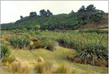 Measly Beach Wetland Complex (Undated)