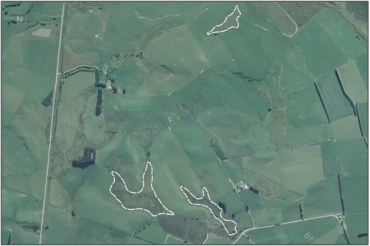 Aerial View of Stirling Marsh Complex (March 2006)
