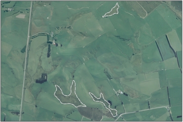 Aerial View of Stirling Marsh Complex (March 2006)